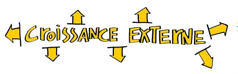 Webinaire APIA BPI : Au cœur de la gouvernance des PME / ETI : la croissance externe