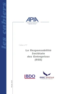 RSE & gouvernance : le guide PDF à télécharger